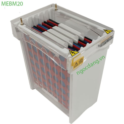 Hệ thống lai Western Blot